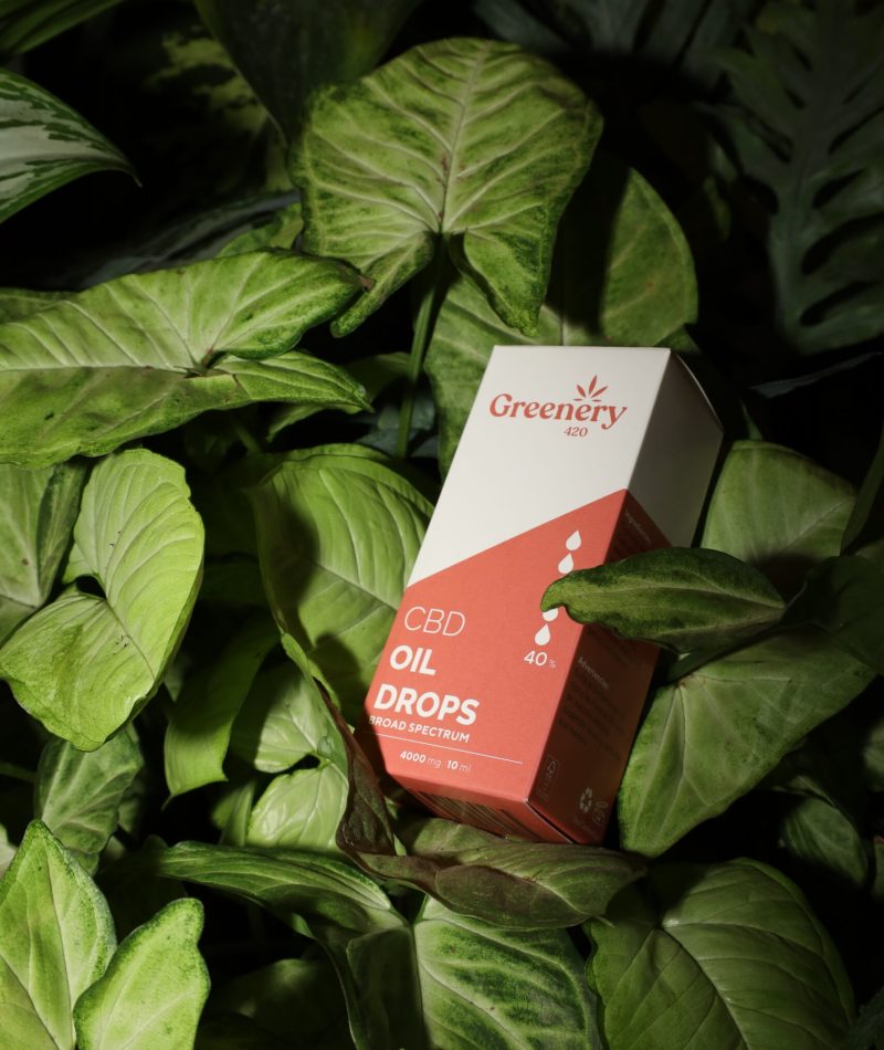 1 GREENERY - Jose Munoz