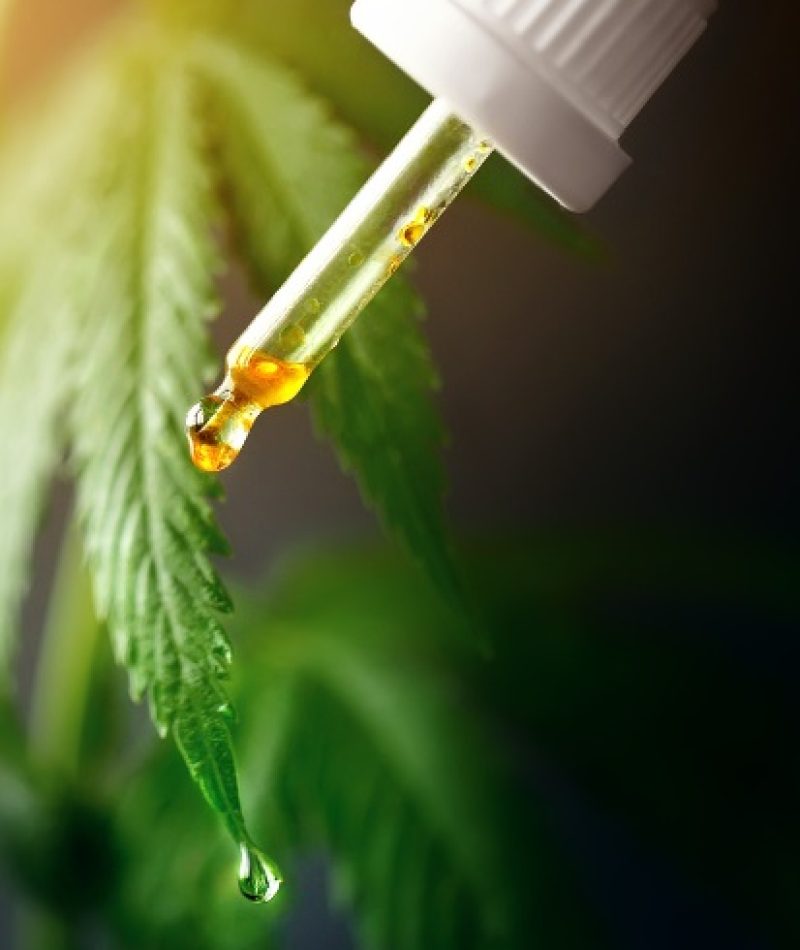 10 GREENERY - Jose Munoz