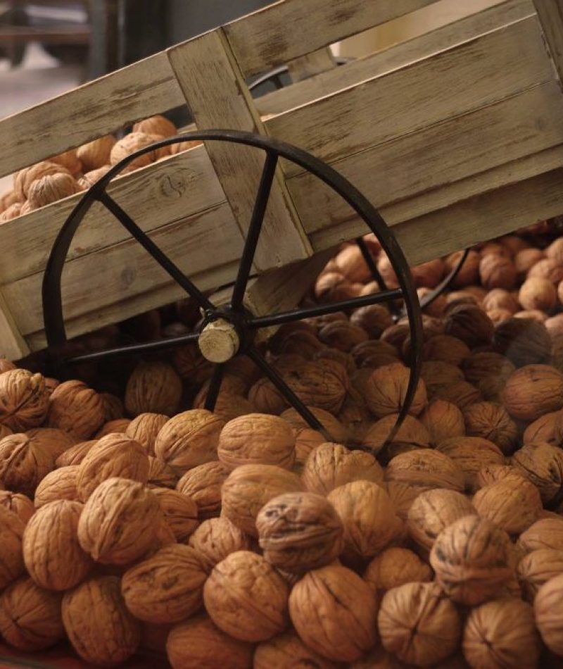 16826207_1523139141061308_2288284344729907499_o-1024x678