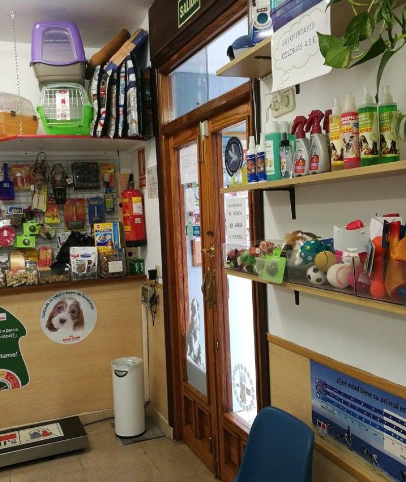 17620276_289888341441681_973062945431034132_o