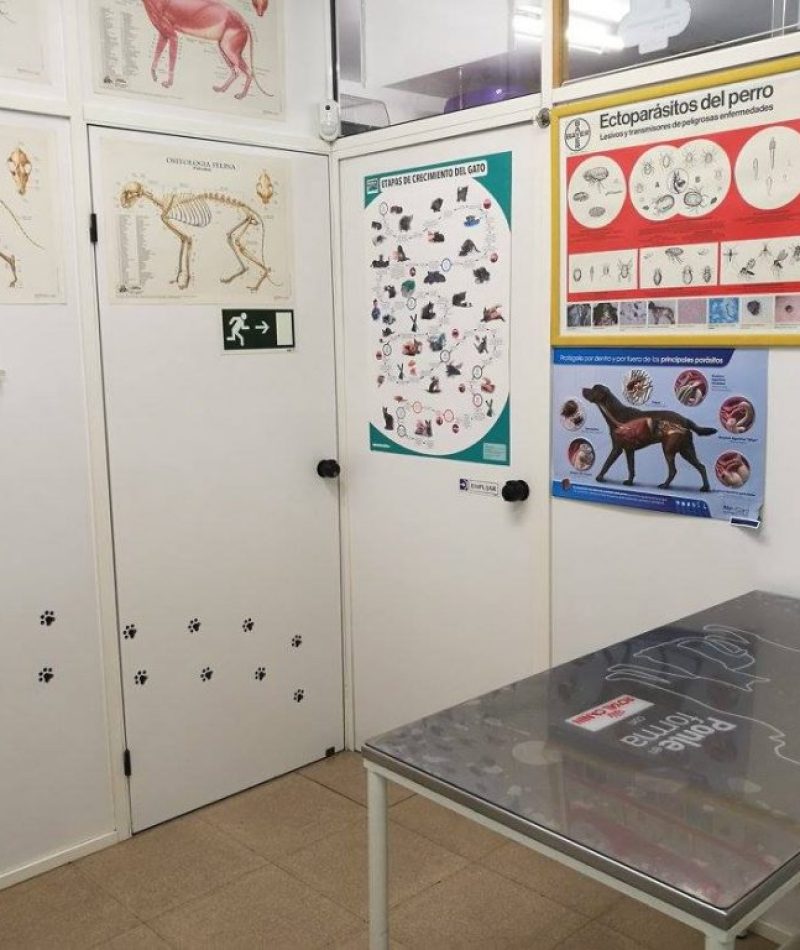 17621792_289887168108465_81261071904647277_o-1024x768