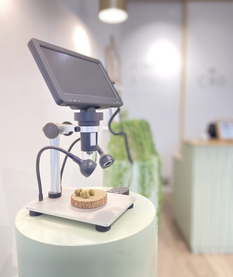 2 GREENERY - Jose Munoz