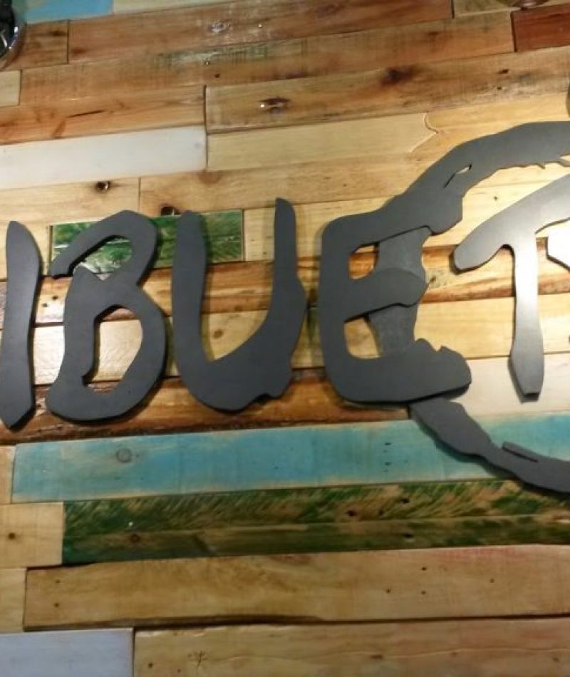 20150301_165044-1024x576