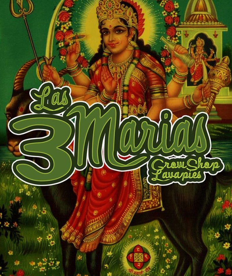 243251_304588739648770_452708617_o