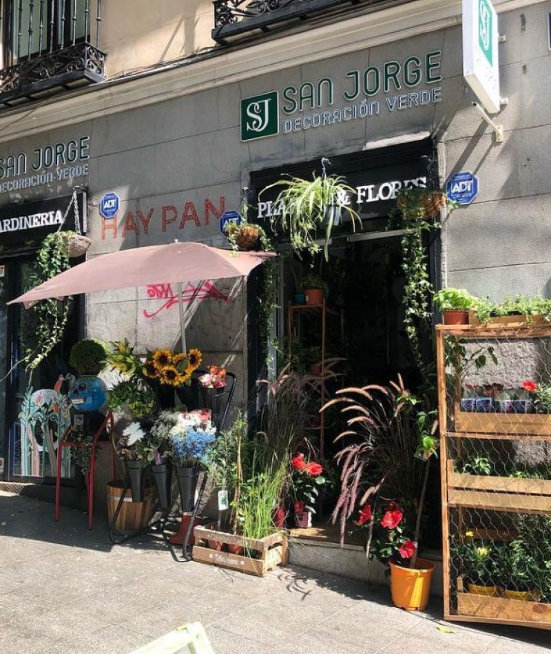 40636684_945563628963992_3356802754717679616_o-1024x767