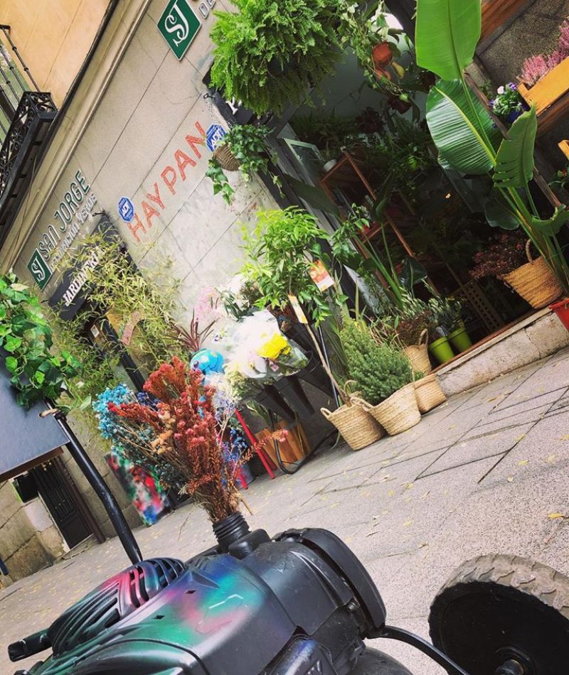 46288044_988017391385282_8343107477243428864_o