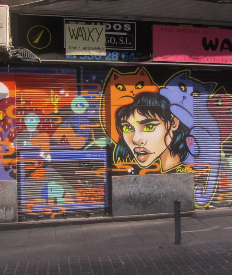 48613727713_d036c605d1_b