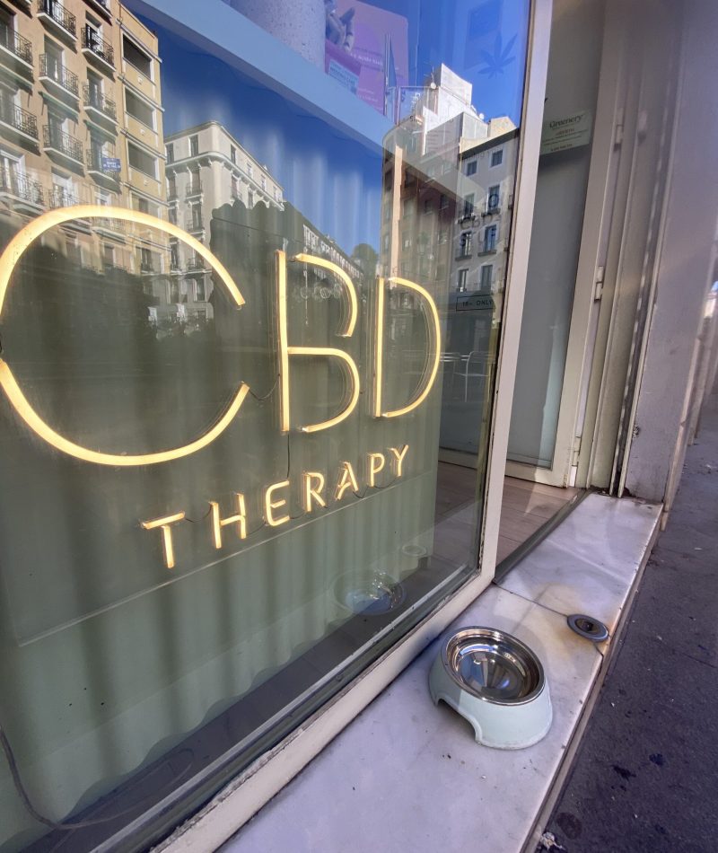 5 GREENERY - Jose Munoz