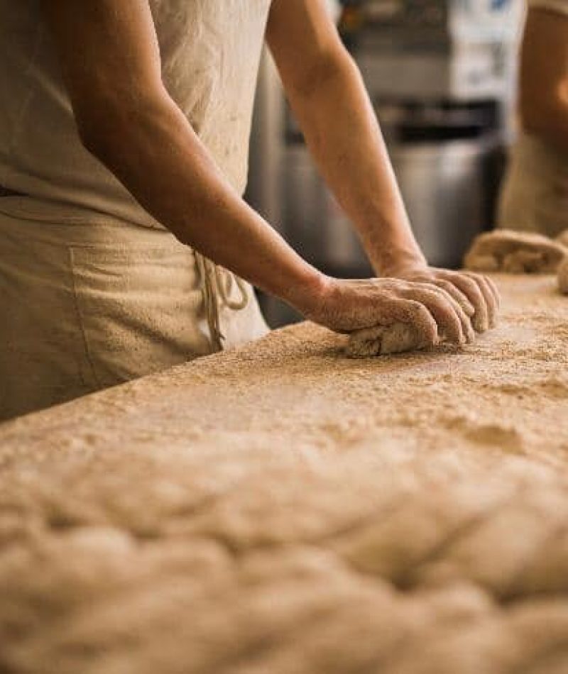 56356601_1535459883252144_7801600169522233344_n