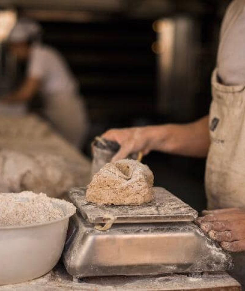 56470402_1535459856585480_4214885543411974144_n