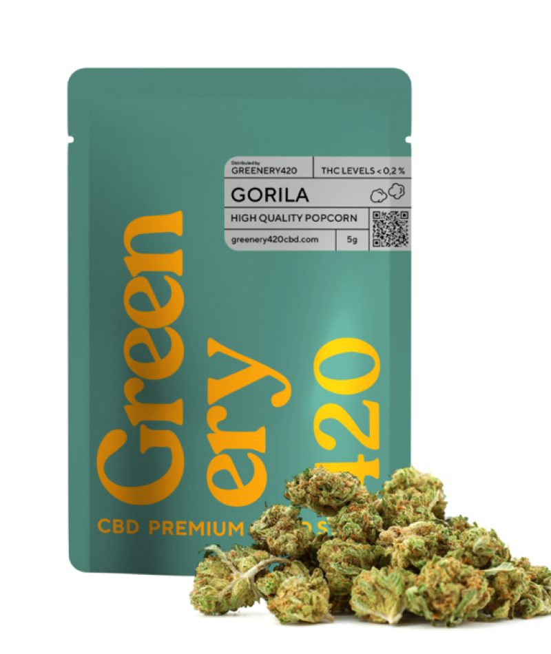 7 GREENERY- Jose Munoz