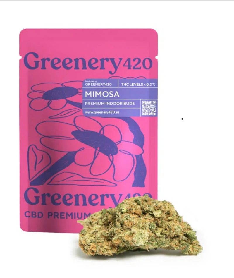 8 GREENERY - Jose Munoz