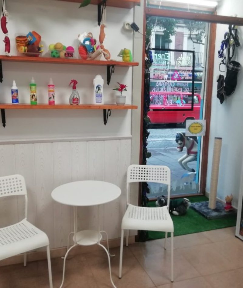 84581488_877110249386151_8484975448235704320_o-1024x768