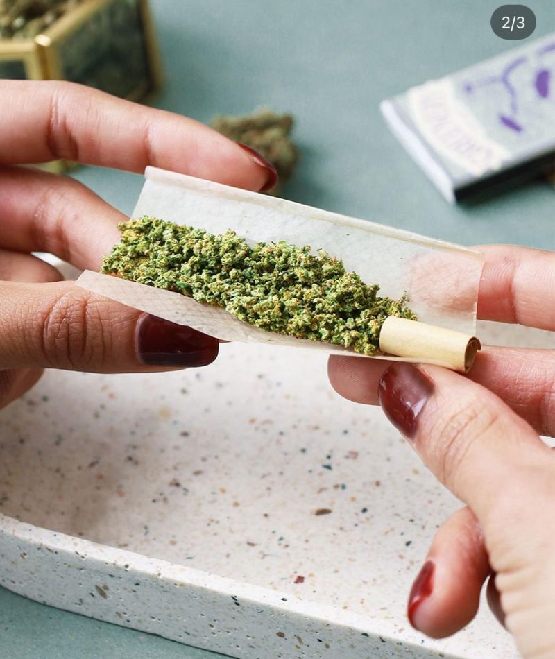 9 GREENERY - Jose Munoz