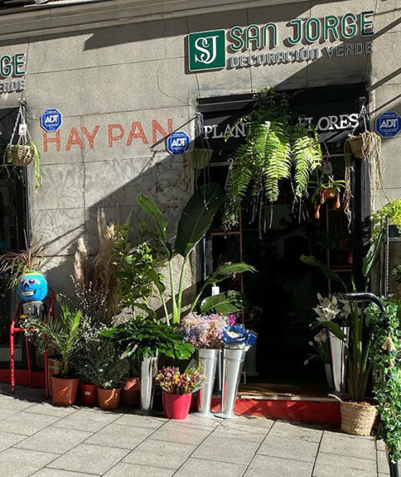 92215512_1369635633223454_4428419093892169728_o