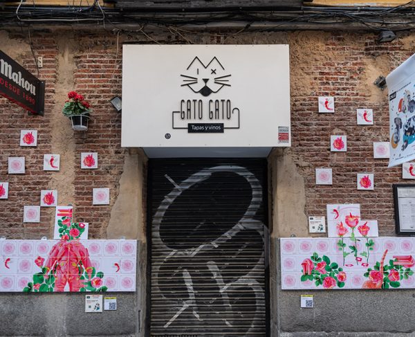 Angela Alonso Art | Gato Gato