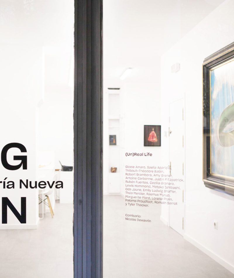 GALERIA-NUEVA-UnReal-Life-2-Daniel-Silvo