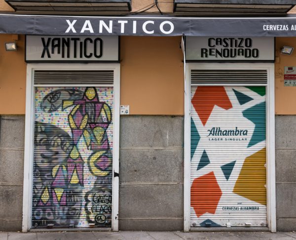 Galgo Flaco | Xantico