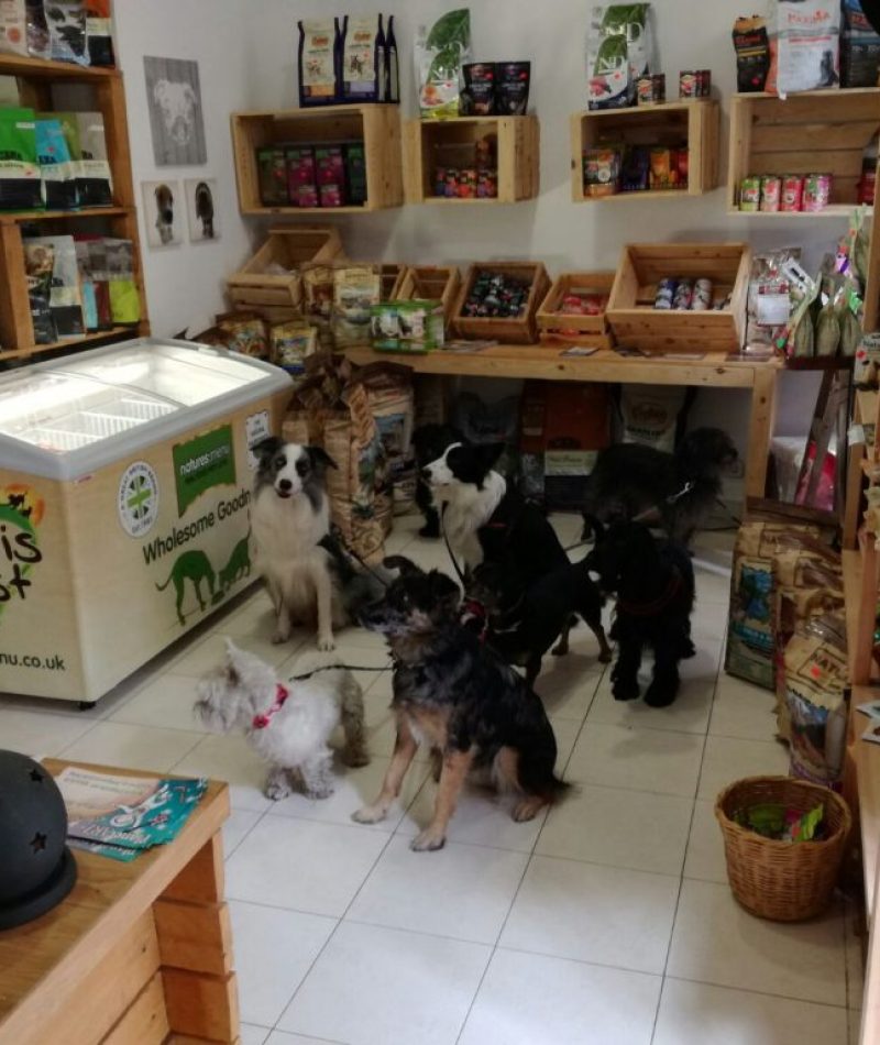 IMG-20161212-WA0003-1024x768