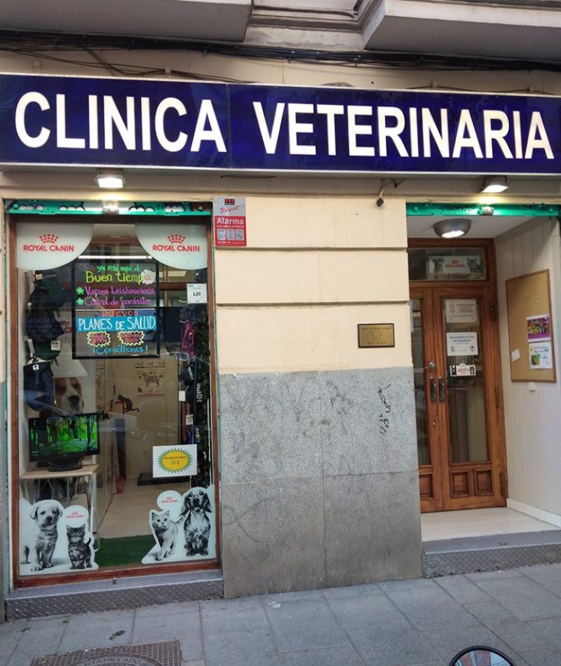 IMG_20210316_171344-768x1024