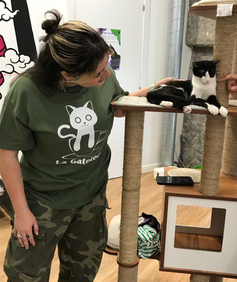 LAGATOTECA5 - empleo abriga