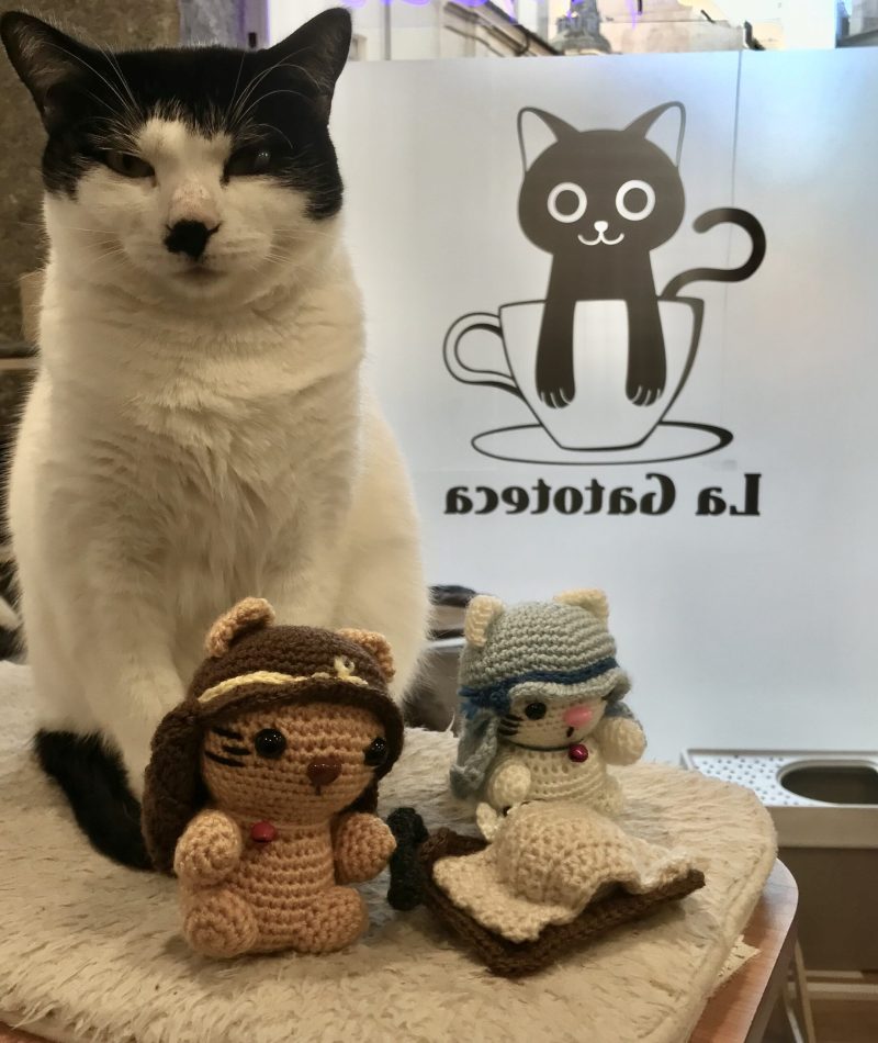 LAGATOTECA6- empleo abriga