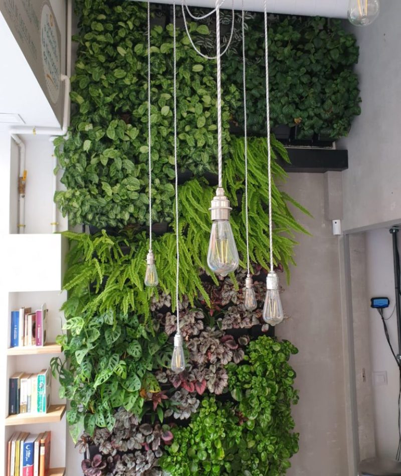 Pressto-Decoracion-May-09-768x1024