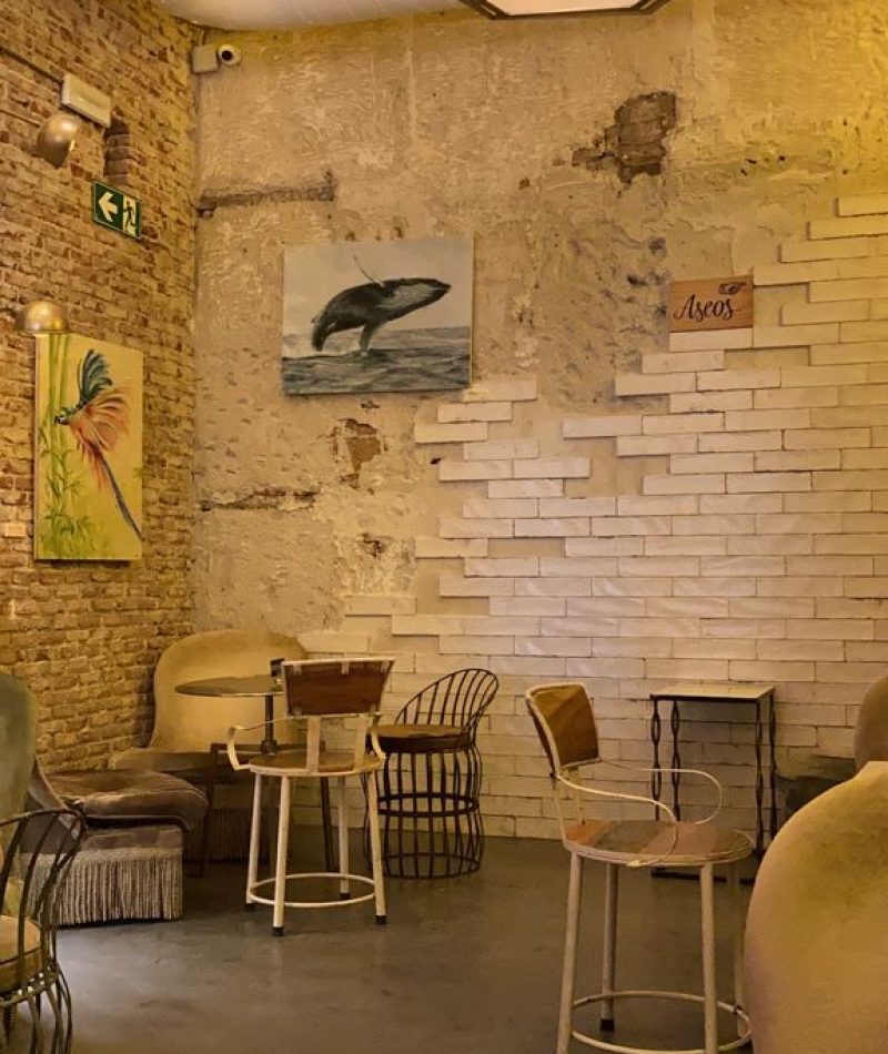 WhatsApp-Image-2021-07-06-at-17.29.35