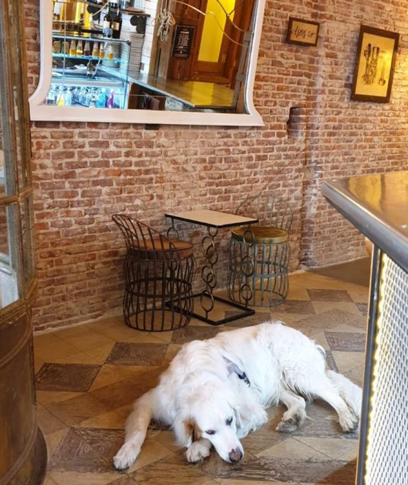 WhatsApp-Image-2021-07-06-at-17.36.31