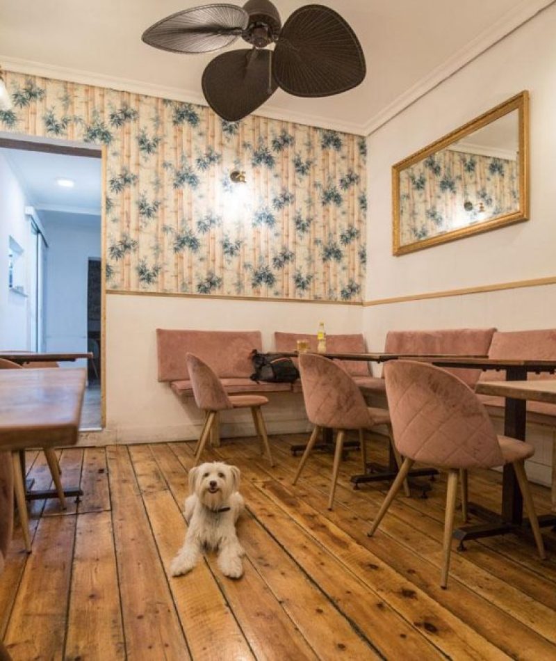 a15a82fb-6c99-4c97-921c-e7d2a90cf87b.original-1024x683