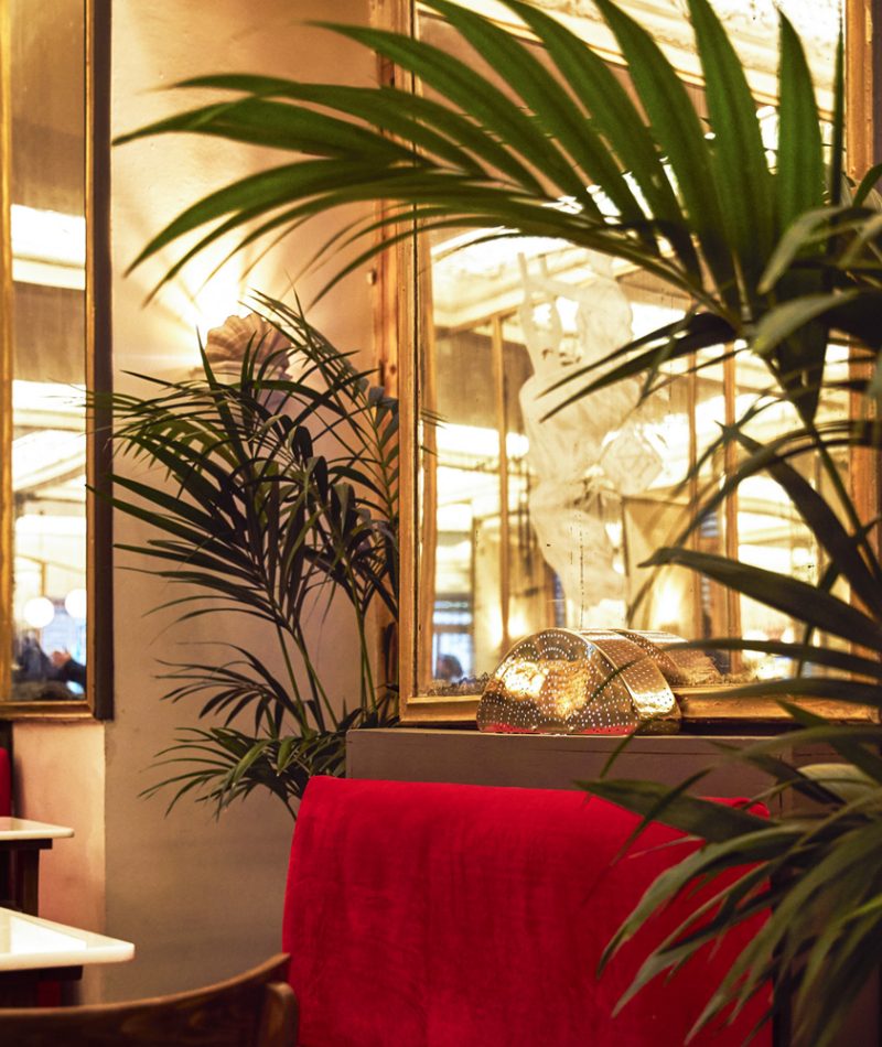 cafe-barbieri_sitio-post