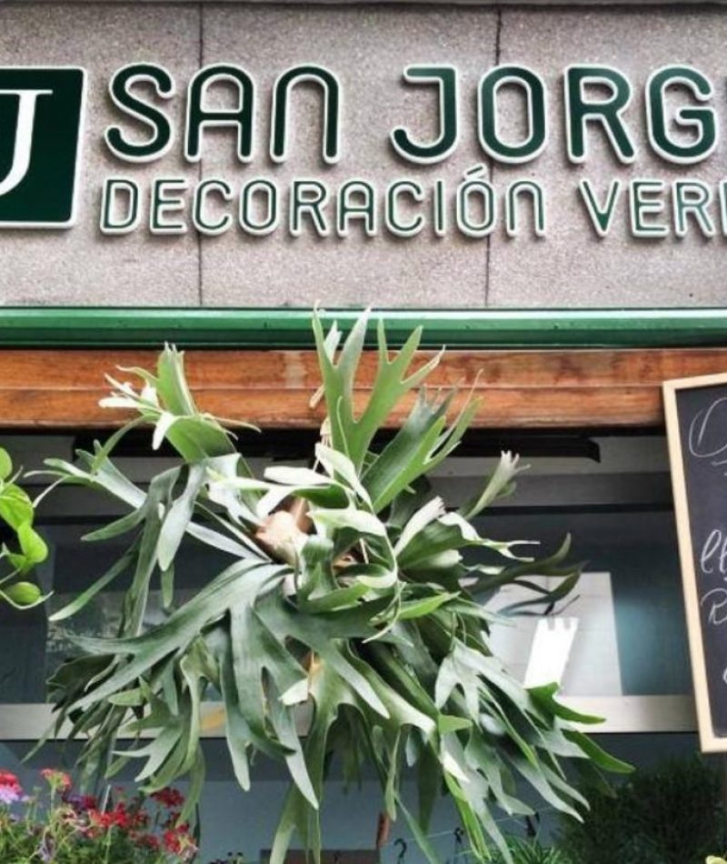 img_117799_san-jorge-decoracion-verde_0_orig-1024x812