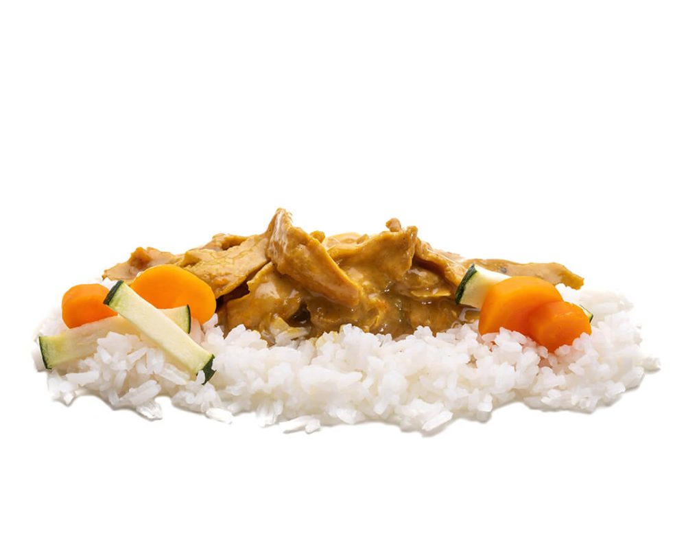 viva-chapata-curry-vegano-de-sojalitas-01